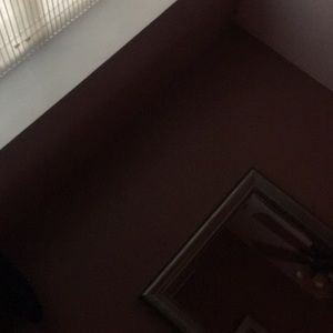 Meet your Posher, Tamara